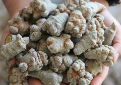 三七粉和铁皮石斛的功效与作用及食用方法