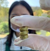 铁皮石斛和高丽参磨粉泡水喝的功效与作用