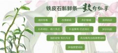 冬季喝铁皮石斛配什么泡水喝好呢？养胃养生呢