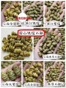 铁皮石斛发苦是怎么回事啊，口味苦是什么原因