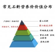 铁皮石斛哪里产地药效最好，药用价值高一些
