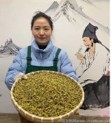 铁皮石斛和莲子的功效与作用是什么呢