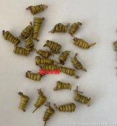 霍山米斛和铁皮石斛哪个好