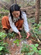 铁皮石斛鲜条怎么榨汁喝效果好一点