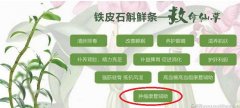 结肠癌化疗期间可以吃铁皮石斛吗有效果吗