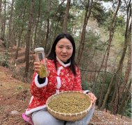 铁皮石斛淋巴瘤患者可以吃吗有效果吗能吃吗