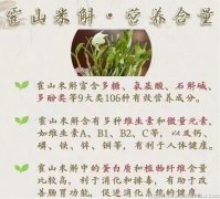 霍山石斛糖尿病患者可以吃吗有营养吗能吃吗