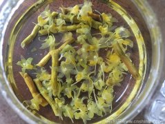 鼻子上火能喝霍山铁皮石斛水吗有用吗