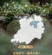 霍山石斛产地哪里最好?在什么产区正宗的