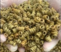 霍山石斛泡水喝对肠胃有好处吗？肠胃不好的人能喝霍山石斛吗？