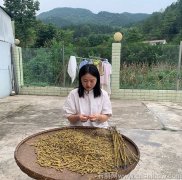 霍山石斛品牌有哪些牌子