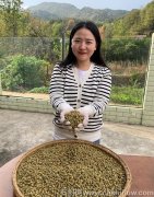 铁皮石斛有升白细胞的效果吗怎么吃才好