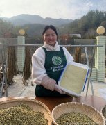 铁皮石斛粉用水冲泡后稀的是假的吗能吃吗