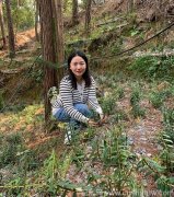 霍山有铁皮石斛吗?正宗的产地在哪里呢