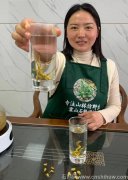 米斛功效与食用方法对心脏有什么好处吗?米斛对人体有什么好处