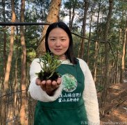 霍山米斛保质期一般是多久啊