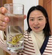 铁皮石斛和祛湿茶能一起喝吗