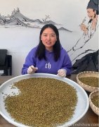 买霍山石斛怎么能买到货真价实的呢？