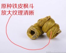 霍山石斛在哪里能买到真货?寻找正宗霍山铁皮石斛,这家最靠谱