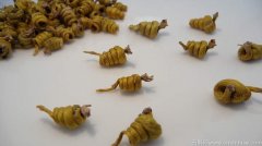 鼻炎发作的时候可以吃霍山石斛吗?鼻炎可以吃霍山石斛吗