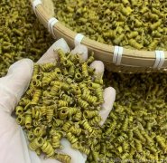 霍山米斛的最佳吃法和用量是多少克呢?适合哪些人群?