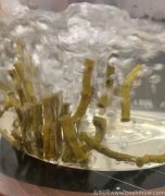 萎缩性胃炎可以用石斛泡水喝吗?石斛和什么一起吃治萎缩性胃炎：最佳搭配与