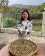 石斛对萎缩性胃炎有效果吗?慢性萎缩性胃炎可以吃石斛吗?怎么吃好