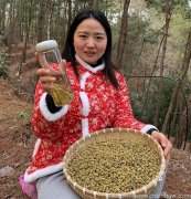 慢性胃炎可以用铁皮石斛泡水喝吗?可以长期服用吗?