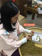 铁皮石斛加茯苓的功效与作用及禁忌是什么呢？铁皮石斛茯苓可以一起用吗