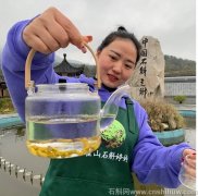 黄芪铁皮石斛红枣桂圆枸杞的搭配与泡茶方法