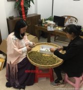 决明子和铁皮石斛可以一起泡水喝吗