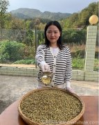 铁皮石斛吃后会大便干燥吗怎么回事啊