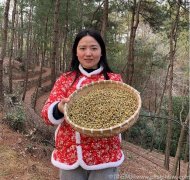 铁皮石斛可以预防长白头发吗白发变黑发吗？有效果吗？