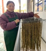 石斛是历代中医治疗消渴症的良药吗