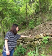 新鲜石斛会有激素吗能吃吗？