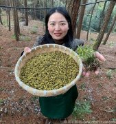 脸上长痘痘可以喝石斛泡水吗