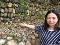 化疗期间可以吃霍山米斛吗有效果吗