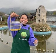 铁皮石斛对肾亏有什么影响和作用有什么好处呢