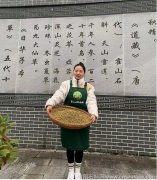 肺气肿可以吃铁皮石斛吗有效果吗