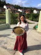 肝火旺盛的人能吃铁皮枫斗，铁皮石斛粉吗