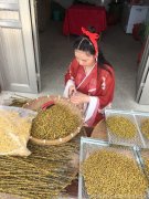 霍山米斛泡茶后能吃吗