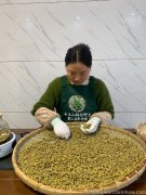 容易上火的人可以吃铁皮石斛粉吗