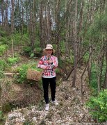 上火的人可以吃铁皮枫斗吗