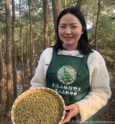 铁皮石斛伤胃吗？对胃有刺激吗？吃了对胃有好处吗