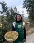 为什么很多老年人都在吃铁皮石斛呢怎么回事