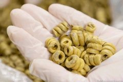 喝铁皮石斛粉泡水可以增强胰岛素抵抗吗