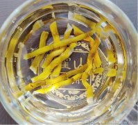 铁皮石斛的胶质的功效和作用