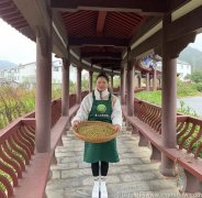 芝麻核桃石斛比例是多少啊