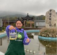 正宗铁皮石斛粉泡水后的颜色是什么样