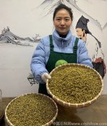 霍山米斛粉最佳吃法和时间,饭前吃还是饭后吃，怎么吃效果好，霍山米斛早上
